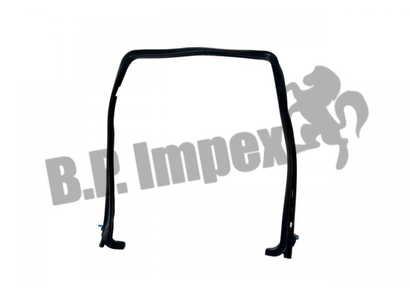 WEATHER STRIP DOOR-LH-G91/ECOMET